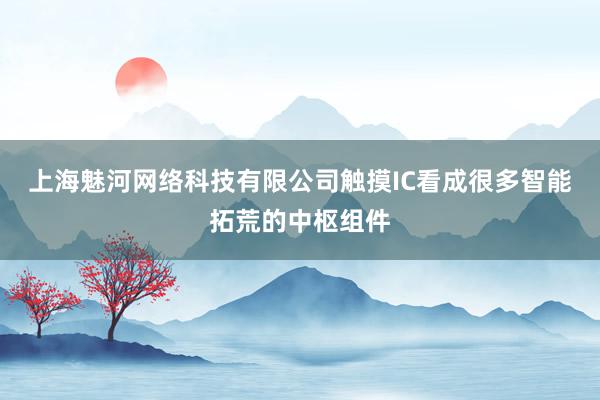 上海魅河网络科技有限公司触摸IC看成很多智能拓荒的中枢组件